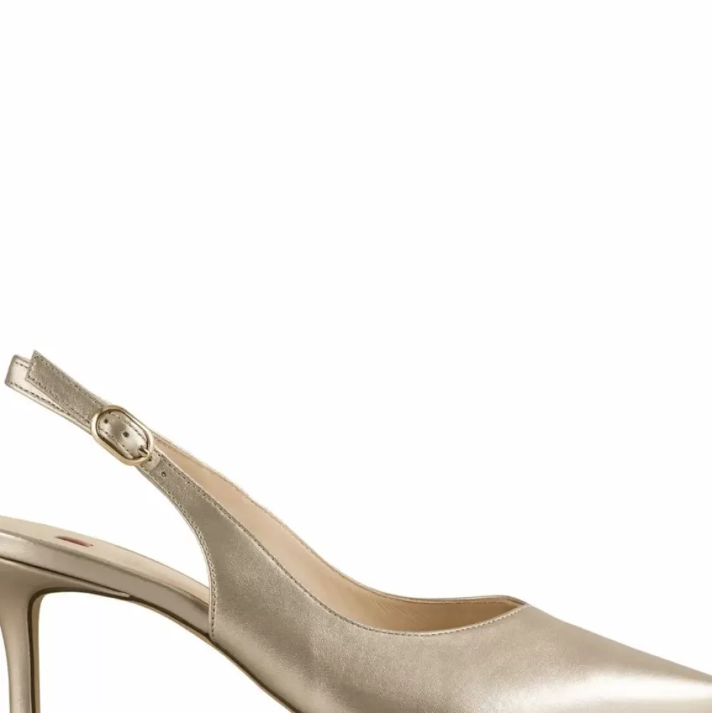 Shop Boulevard 60 Sl Women Pumps