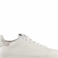 Flash Sale Glammy Women Sneakers