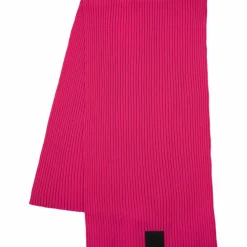 Best Scarf Cheery Women Accessories